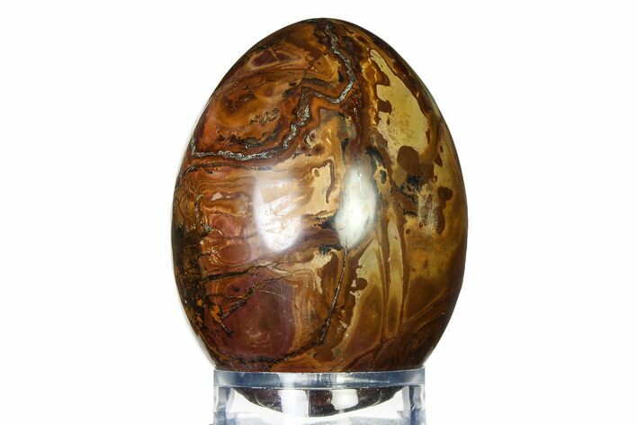 Polished Septarian Nodule Egg - Morocco #322323